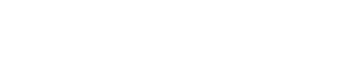 ZooMix